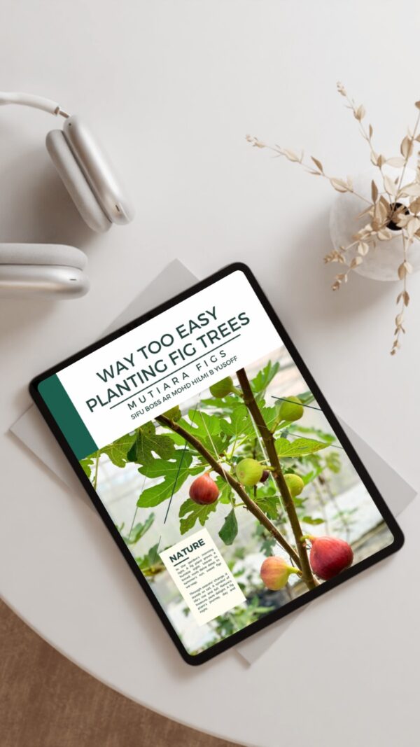 EBOOK "WAY TOO EASY PLANTING FIG TREES" - Image 2