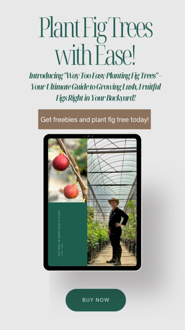 EBOOK "WAY TOO EASY PLANTING FIG TREES" - Image 4